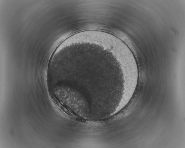 X0000112420954200909251513