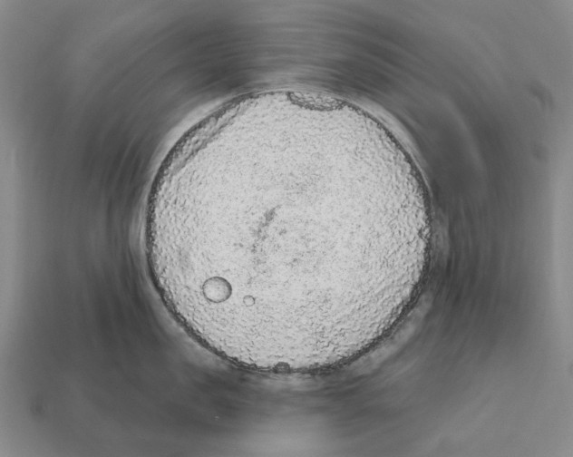 X0000112420957200909251513