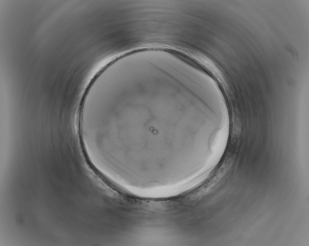 X0000112420958200909251513