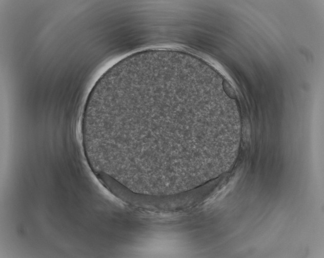 X0000112420959200909251513