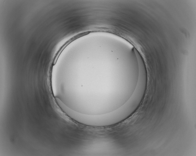 X0000112420960200909251513