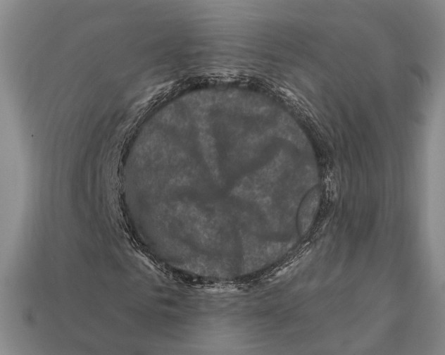 X0000112420961200909251513