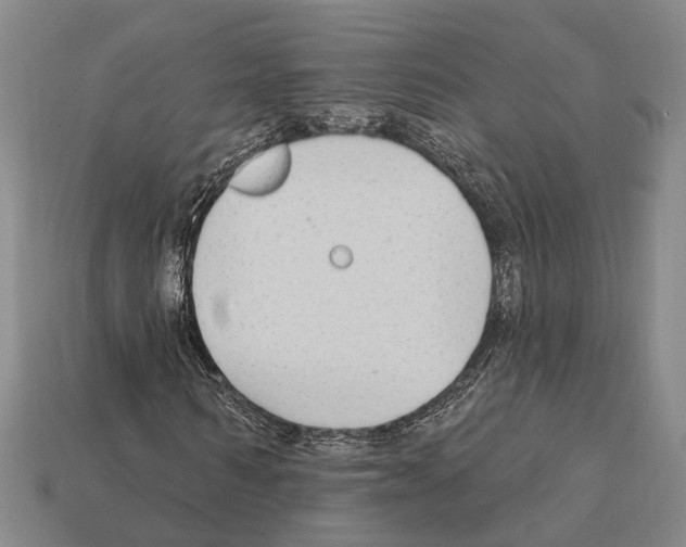 X0000112420962200909251513