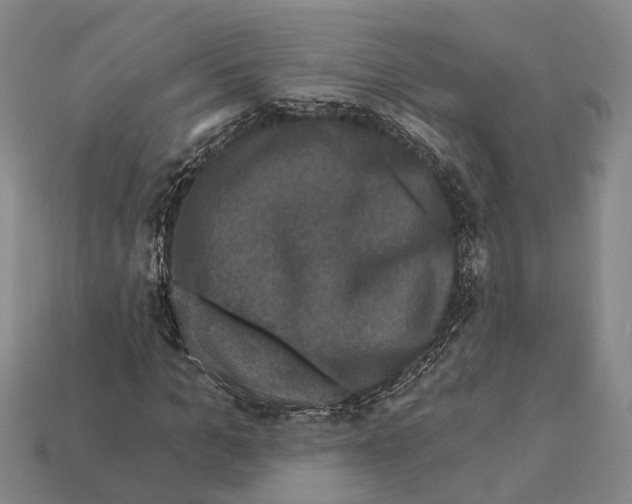 X0000112420965200909251513