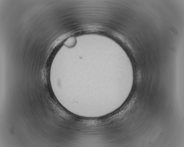 X0000112420970200909251513