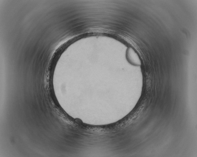 X0000112420971200909251513