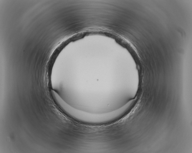 X0000112420973200909251513