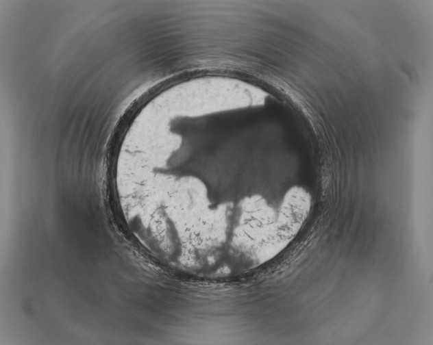 X0000112420975200909251513