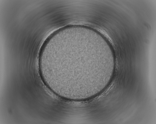 X0000112420976200909251513