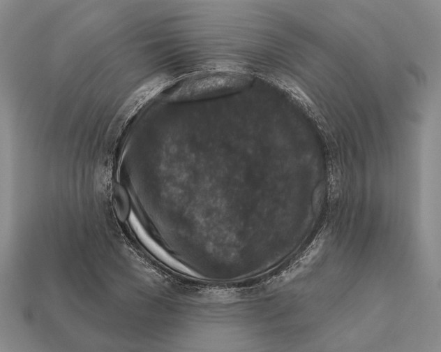 X0000112420977200909251513