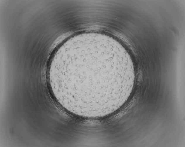 X0000112420978200909251513