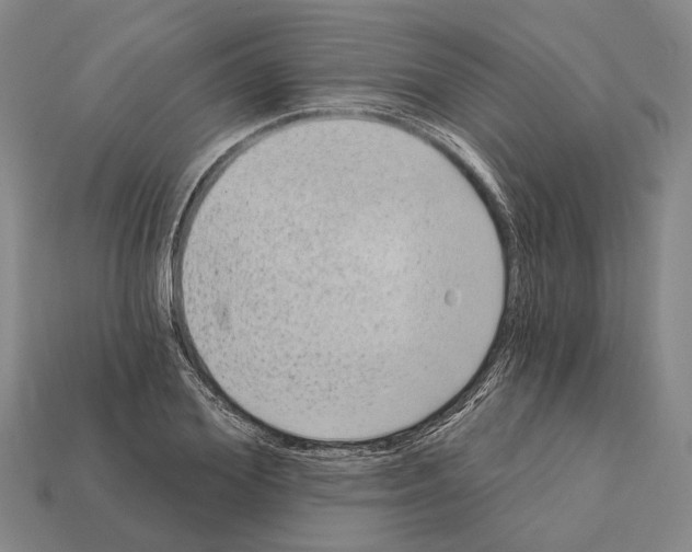 X0000112420980200909251513