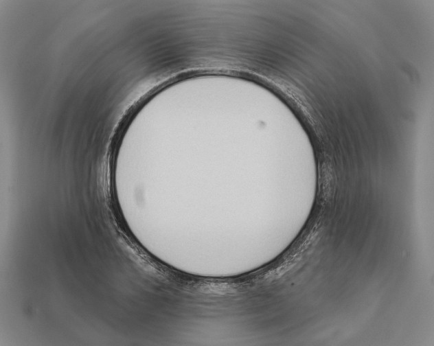 X0000112420982200909251513