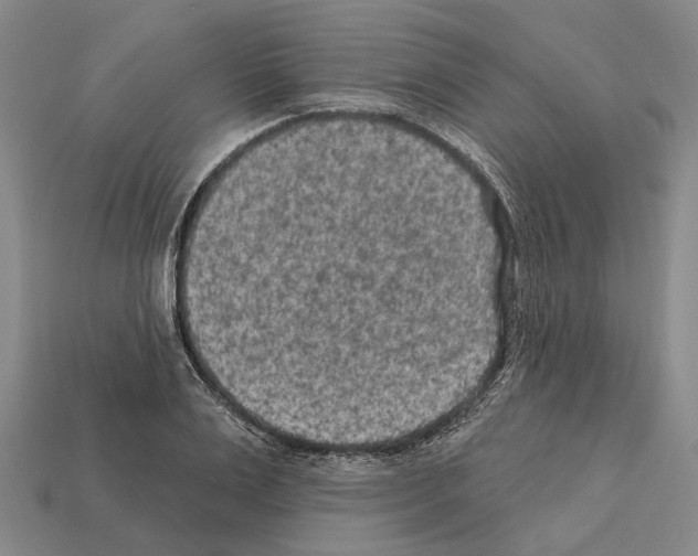 X0000112420983200909251513