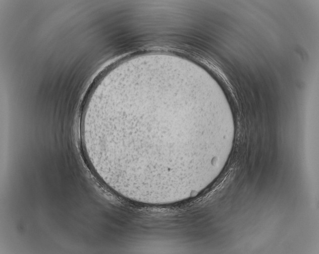 X0000112420984200909251513