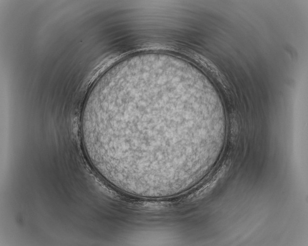 X0000112420985200909251513