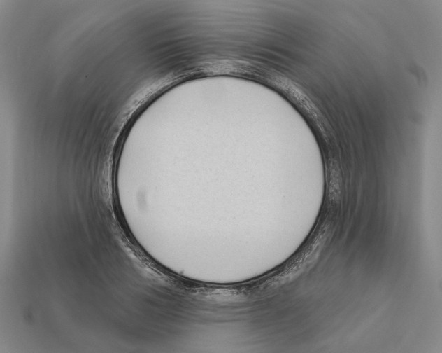 X0000112420986200909251513