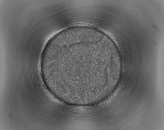 X0000112420987200909251513