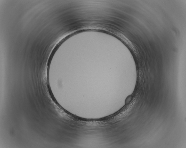 X0000112420988200909251513