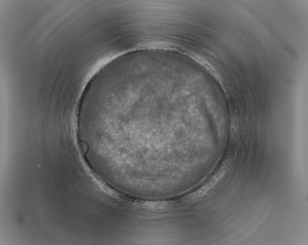 X0000112420989200909251513