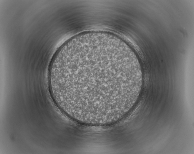 X0000112420990200909251513