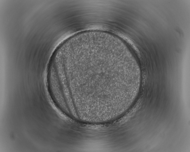 X0000112420991200909251512