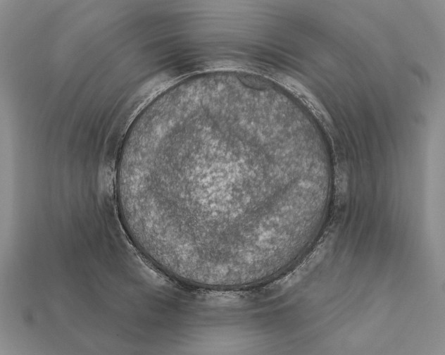 X0000112420993200909251512