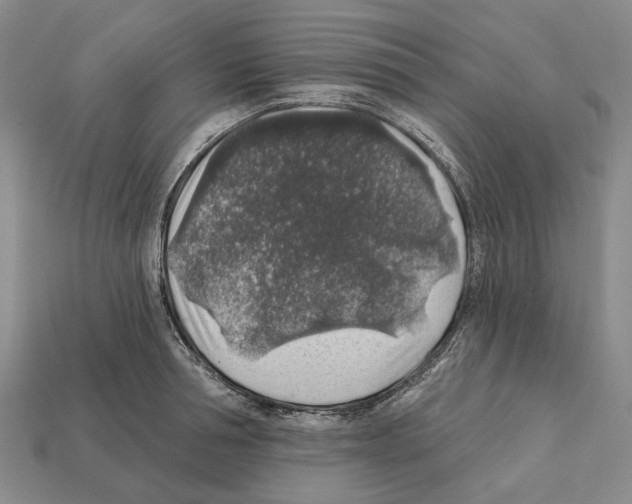 X0000112420994200909251512