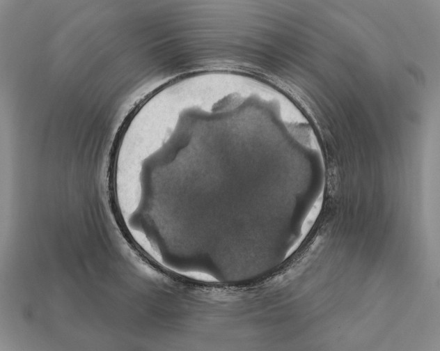 X0000112420995200909251512