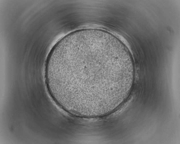 X0000112420997200909251512