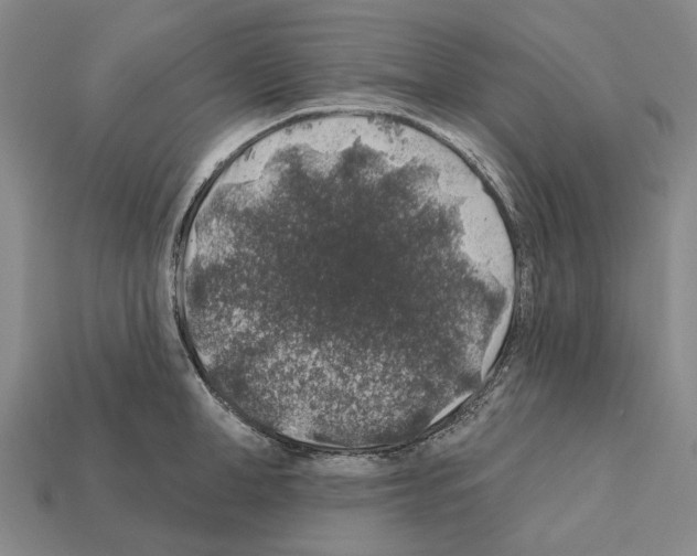 X0000112420998200909251512