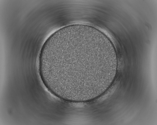 X0000112420999200909251512