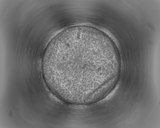 X0000112421001200909251512