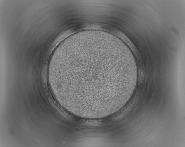 X0000112421002200909251512