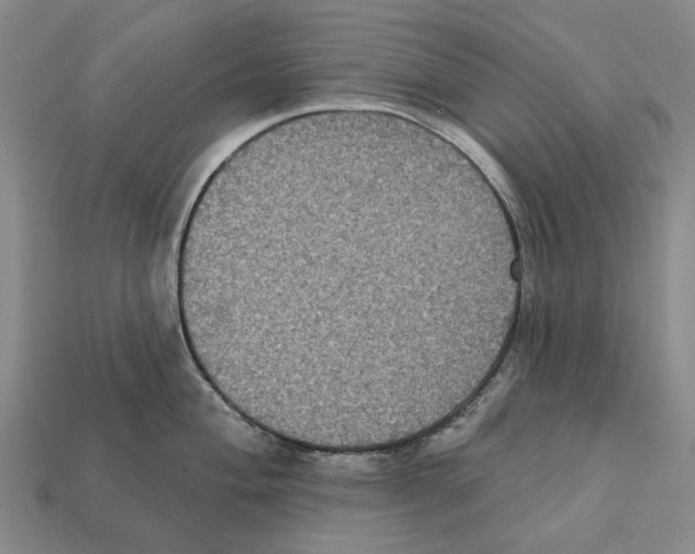 X0000112421004200909251512