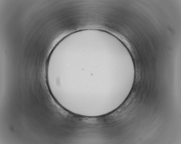 X0000112421006200909251512