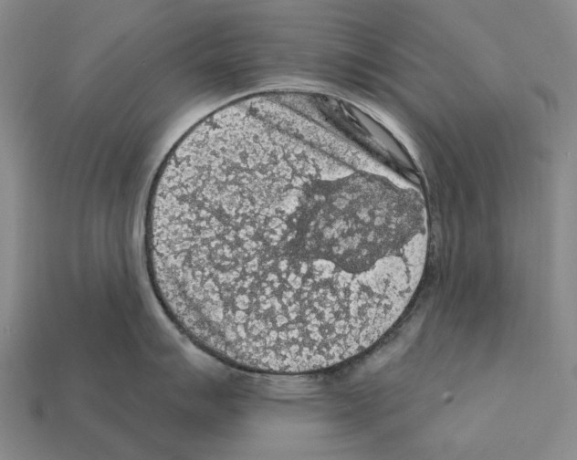 X0000112421007200909251512