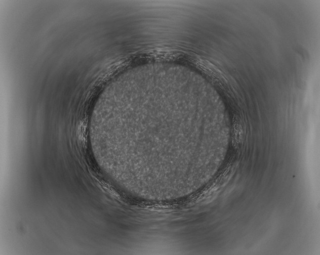 X0000112421010200909251511