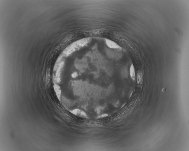 X0000112421011200909251511