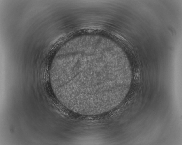 X0000112421014200909251511