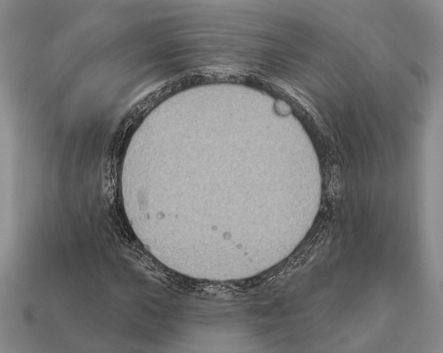 X0000112421015200909251511