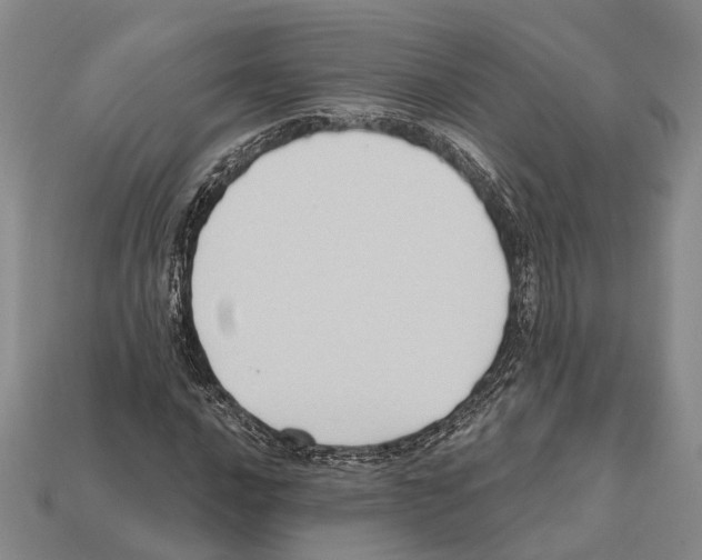 X0000112421016200909251511