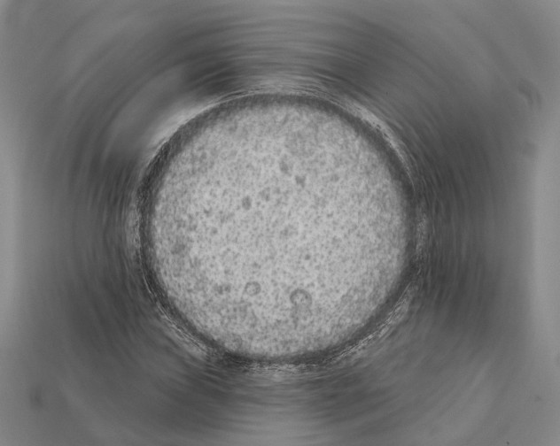 X0000112421019200909251511