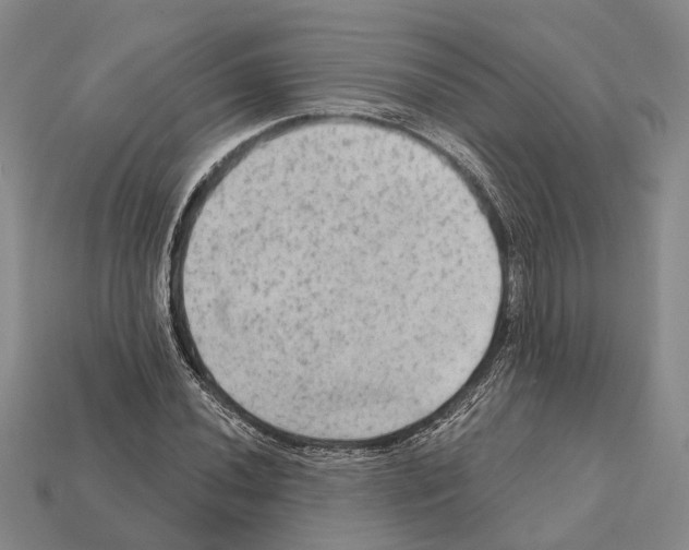 X0000112421020200909251511