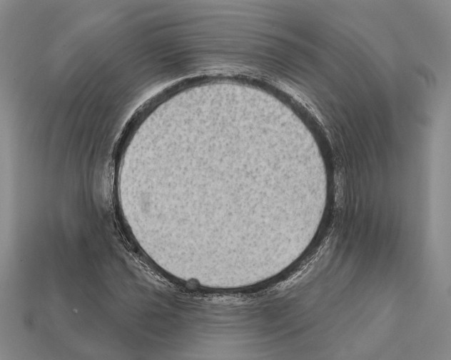 X0000112421021200909251511