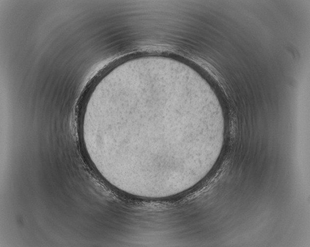 X0000112421022200909251511