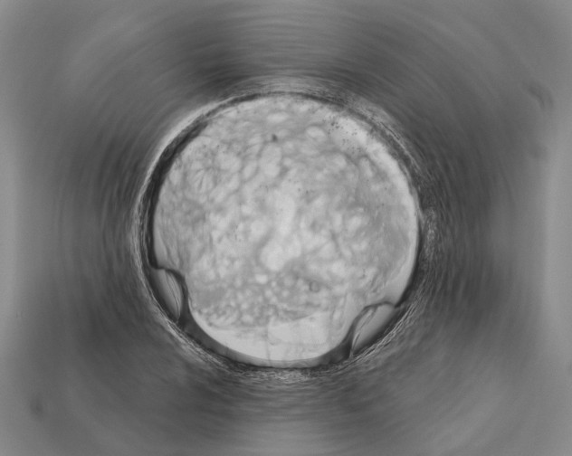 X0000112421024200909251512