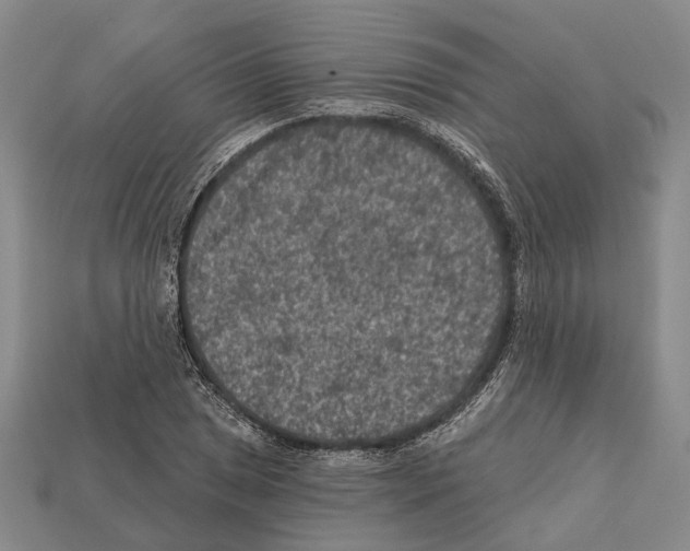 X0000112421025200909251512