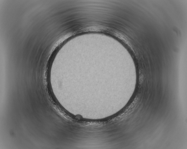 X0000112421026200909251512