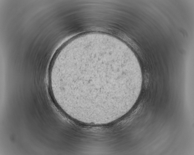 X0000112421028200909251512